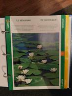 Arti Doc-mappen 8-12 jaar, Boeken, Ophalen of Verzenden, Zo goed als nieuw, Non-fictie