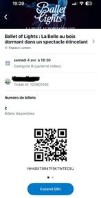 Billets pour ballet of lights, Deux personnes