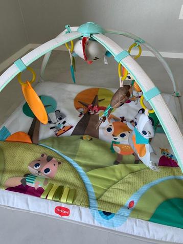 Speelmat met boog en muziekje - Tiny Love Deluxe Babygym Int beschikbaar voor biedingen