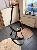 Zwart halster, Dieren en Toebehoren, Ophalen of Verzenden, Zo goed als nieuw