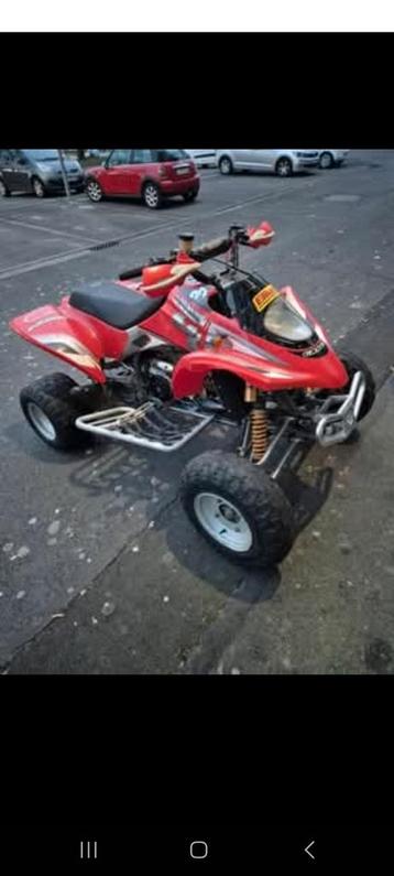 Quad gasgas wild 450