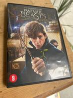 DVD Fantastic beasts and where to find them, CD & DVD, DVD | Science-Fiction & Fantasy, Comme neuf, Enlèvement ou Envoi, Fantasy