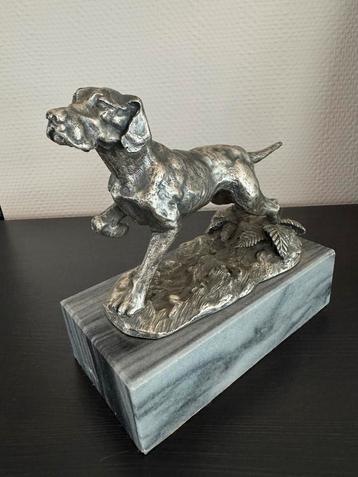 Beeld jachthond / vizsla beschikbaar voor biedingen