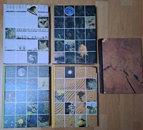 5 Livres : Les 4 saisons + La Forêt des hommes, Boeken, Prentenboeken en Plaatjesalbums, Nieuw, Ophalen of Verzenden