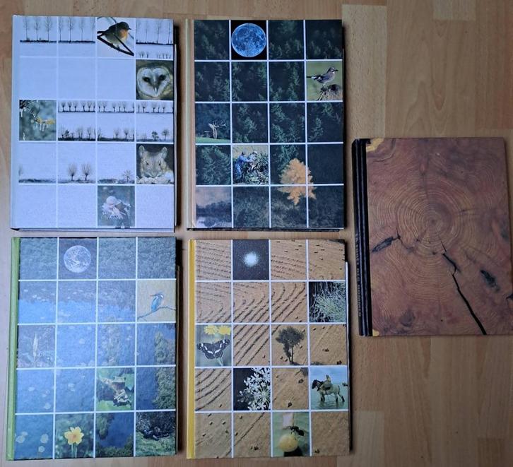 5 Livres : Les 4 saisons + La Forêt des hommes, Boeken, Prentenboeken en Plaatjesalbums, Nieuw, Ophalen of Verzenden