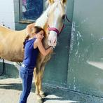 Gouden kinderpony, Dieren en Toebehoren, Pony's, Merrie, Zadelmak, Springpony