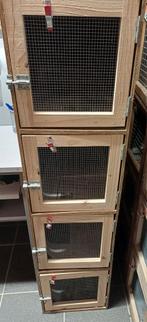 Hokken, in kolommen van 4 kooien per kolom., Dieren en Toebehoren, Ophalen