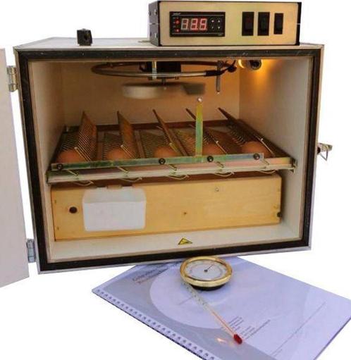 MS broedmachine 35, Ventilator broedmachine  semi automaat, Dieren en Toebehoren, Pluimvee | Toebehoren, Nieuw, Broedmachine, Verzenden