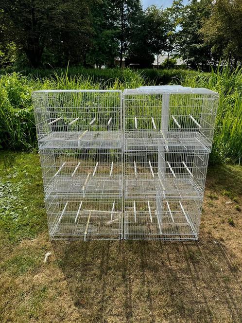 6 witte draadkooien voor exotische of wildzang vogels, Dieren en Toebehoren, Vogels | Hokken en Kooien, Gebruikt, Broedkooi of Kweekkooi