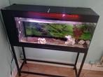 Aquarium complet + pied, Ophalen, Gebruikt