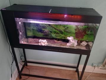 Aquarium complet + pied  beschikbaar voor biedingen