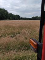 Dieren paarden, Dieren en Toebehoren, Paarden