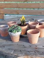 terracotta potten 8-8cm, PRIJS: 80 cent per stuk, Tuin en Terras, Bloempotten, Ophalen