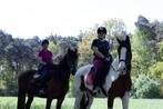 Goed thuis gezocht Voor een recreatiepaard, Dieren en Toebehoren, Ruin, Niet van toepassing, Recreatiepaard, Gechipt