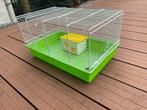 Cage hamster/rongeur, Animaux & Accessoires, Comme neuf, Hamster, Cage, Moins de 60 cm