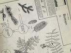 Zoekkaart. Bomen en struiken in blad, Boeken, Ophalen of Verzenden