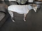 Pull fait main pour chien, Envoi, Neuf