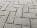 gratis betonklinkers 40m2, Tuin en Terras, Ophalen, Zo goed als nieuw