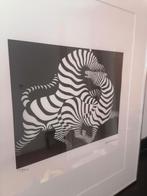 Lithographie de Victor Vasarely Zebra, Enlèvement ou Envoi