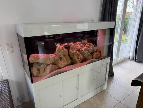 Aquarium complet, Dieren en Toebehoren, Vissen | Aquaria en Toebehoren, Gebruikt, Gevuld zoetwateraquarium, Ophalen