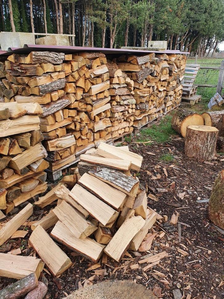 Eik brandhout, Tuin en Terras, Brandhout, Blokken, Eikenhout, Ophalen