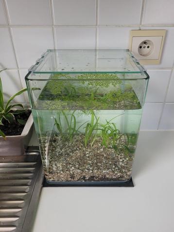 Nano aquarium leeg beschikbaar voor biedingen