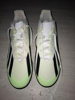 Voetbalschoenen, Sport en Fitness, Ophalen of Verzenden, Nieuw