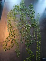 Klimop decoratie 11 slingers, Enlèvement ou Envoi