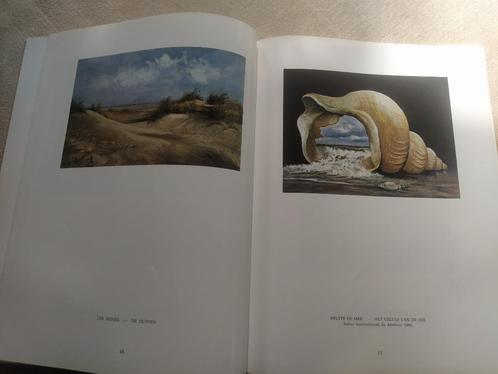 boek: André Coffyn - kunstschilder, Boeken, Kunst en Cultuur | Beeldend, Gelezen, Schilder- en Tekenkunst, Ophalen of Verzenden