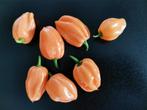 5 zaden peper Aji dulce amarillo, Tuin en Terras, Verzenden, Voorjaar, Zaad