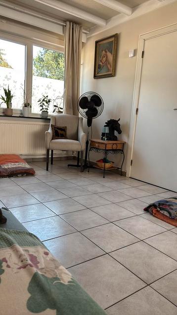 hanglamp gratis  en   zeteltjes  25€, Enlèvement, Utilisé