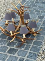 Gewei luster prachtig, Enlèvement