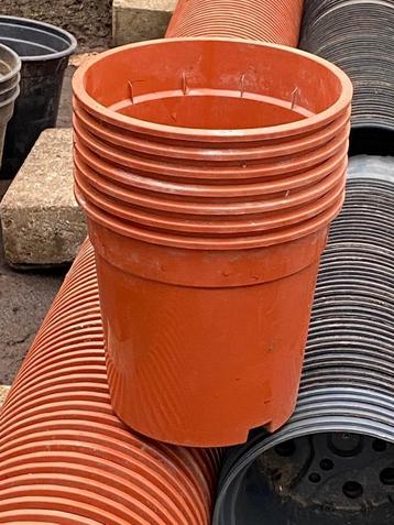 Extra stevige kweekpotten 2 liter 16,5 x15,5 cm beschikbaar voor biedingen