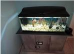 70l aquarium led verlichting met kast en toebehoren, Dieren en Toebehoren, Ophalen, Zo goed als nieuw, Gevuld zoetwateraquarium