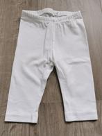 Korte legging P'Tit Filou - maat 68, Ophalen of Verzenden, Gebruikt, Maat 68