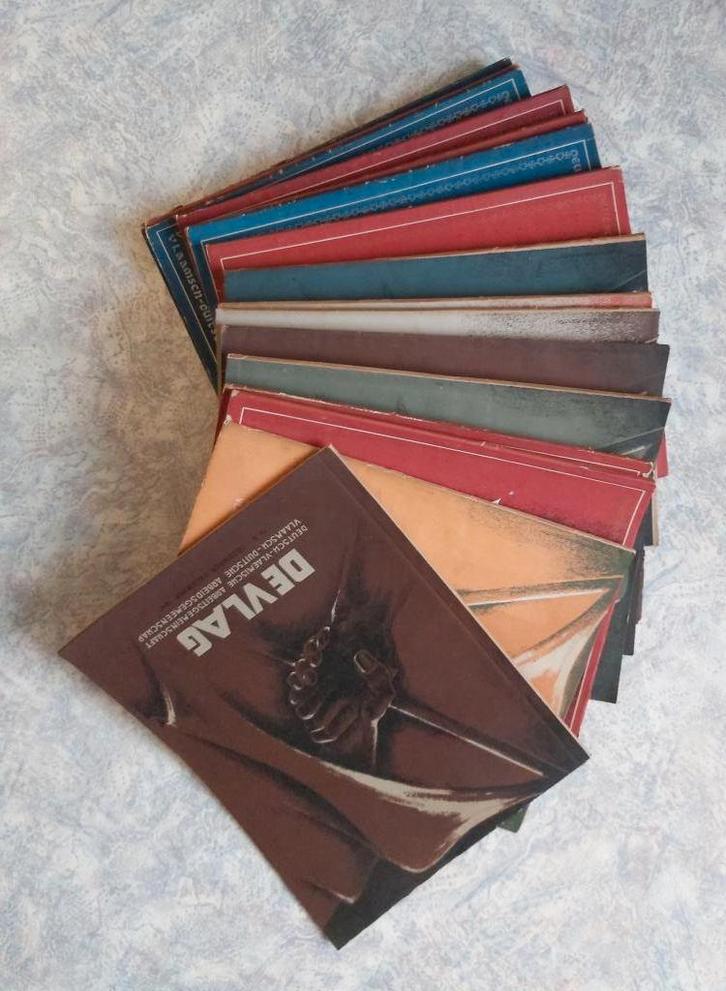 DeVlag Steenlandt Antwerpen Landsleiding Vlaanderen Acke SX, Boeken, Politiek en Maatschappij, Zo goed als nieuw, Maatschappij en Samenleving