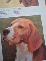 Honden boek, Ophalen, Gelezen, Honden
