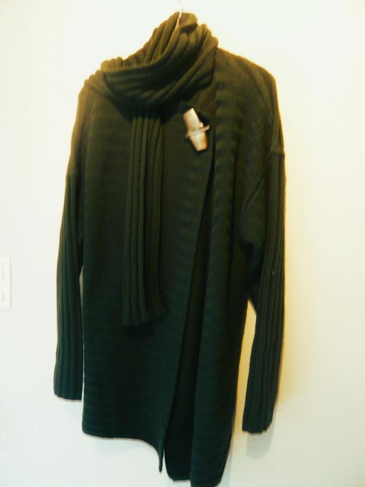 Sarah Pacini vest met sjaal als nieuw, Kleding | Dames, Truien en Vesten, Gedragen, Groen, Ophalen of Verzenden