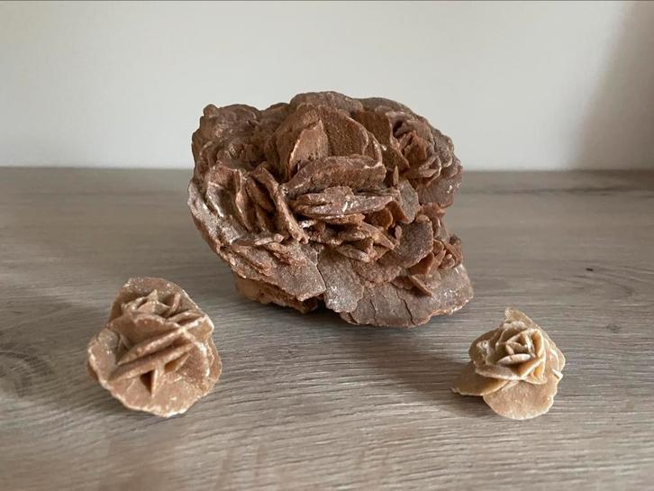 Natuurlijke zandroos + 🎁 2 gratis kleine rozen, Verzamelen, Mineralen en Fossielen, Ophalen