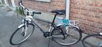 Minerva ascot herenfiets (wit/grijs) - uitstekende staat, Fietsen en Brommers, Versnellingen, Zo goed als nieuw, 53 tot 57 cm