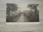 FAYT-LEZ-MANAGE: Maison de retraites pour hommes, Ophalen of Verzenden, Voor 1920, Ongelopen, Henegouwen