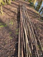 Bamboe stokken , leipalen , boonstaken,, Overige typen, 250 cm of meer, Ophalen of Verzenden, Zo goed als nieuw