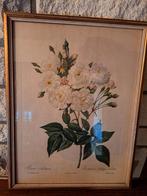 Schiderijen, Enlèvement