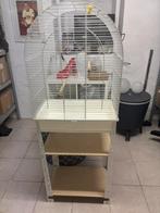 Cage oiseaux, Animaux & Accessoires, Enlèvement ou Envoi