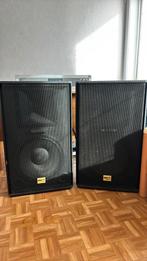 Prachtige BST boxen met passende versterker., Muziek en Instrumenten, Ophalen, Zo goed als nieuw