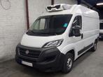 Fiat Ducato L2H2 Frigo ZANOTTI 250 (-20 à +20), Auto's, Voorwielaandrijving, 4 deurs, Stof, 2287 cc