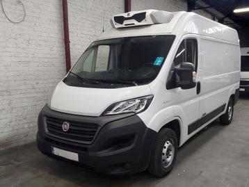 Fiat Ducato L2H2 Frigo ZANOTTI 250 (-20 à +20) beschikbaar voor biedingen