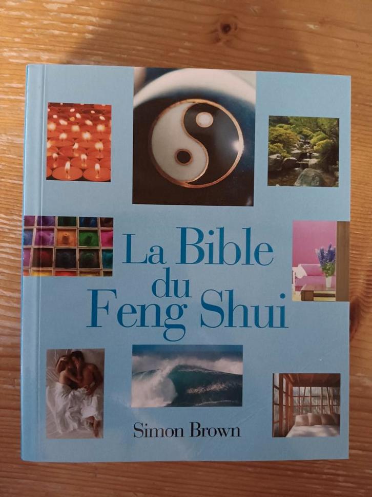 De Feng Shui-bijbel, Boeken, Hobby en Vrije tijd, Zo goed als nieuw, Ophalen of Verzenden