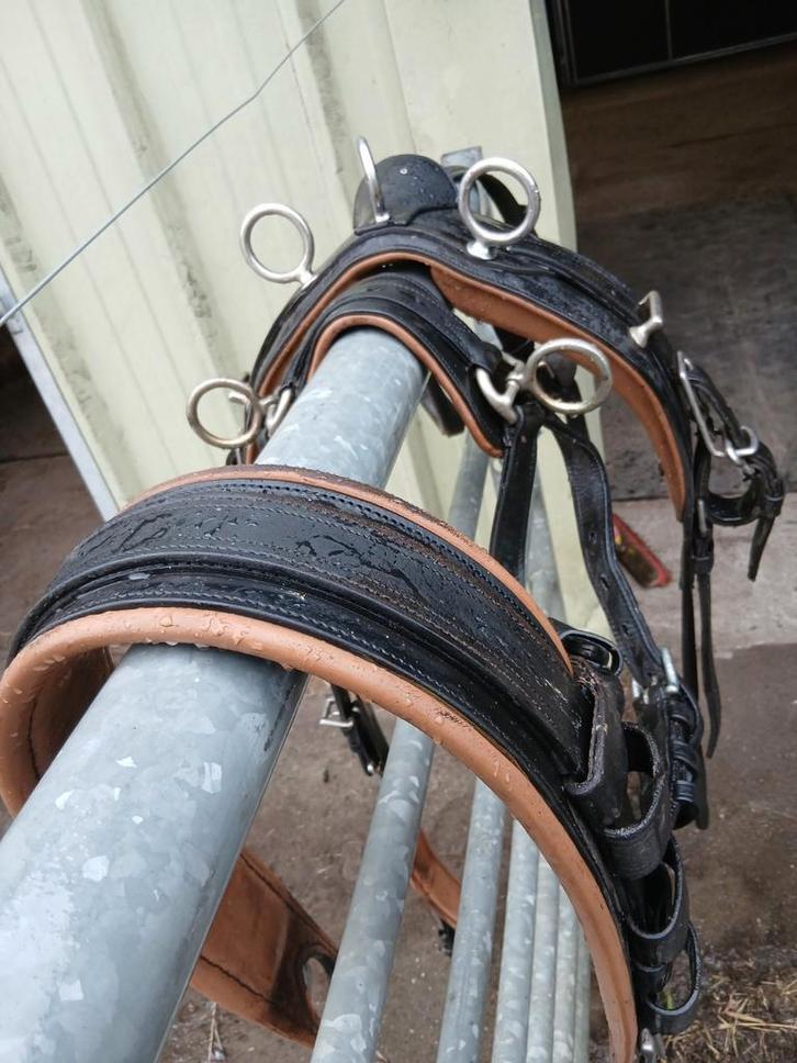 2zadels ,2enkelspan, Dieren en Toebehoren, Paarden en Pony's | Hoofdstellen en Tuigage, Zo goed als nieuw, Ophalen of Verzenden