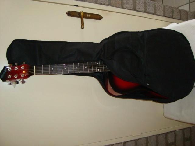 MSA GITAAR TAS voor 4/4 WESTERN GITAAR (nieuw, 20220001), Muziek en Instrumenten, Behuizingen en Koffers, Nieuw, Akoestische gitaar